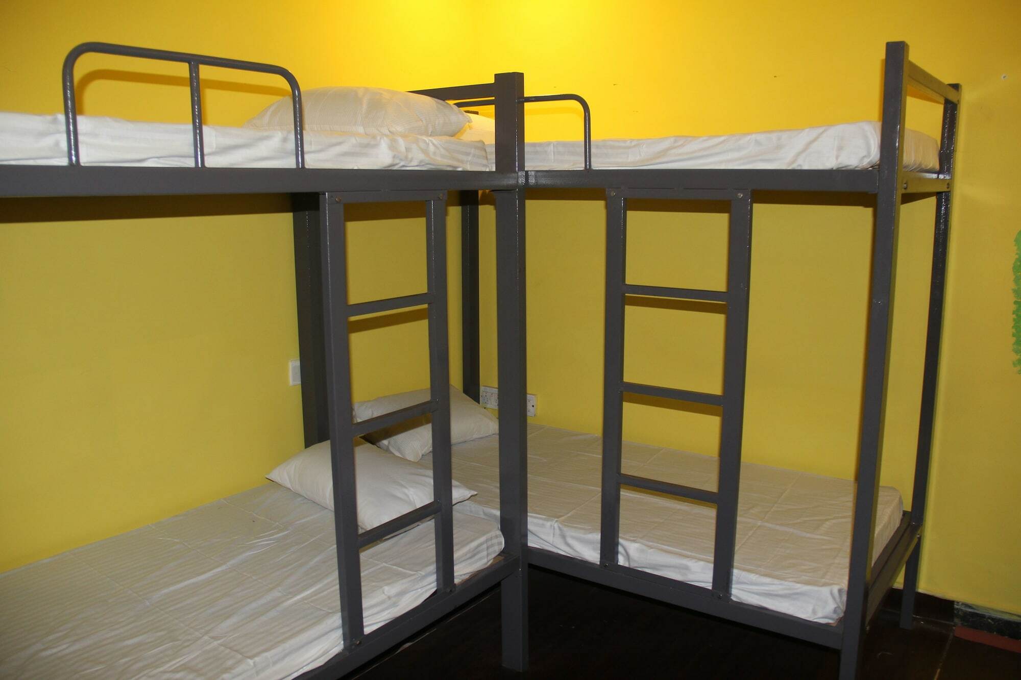 Eltravo - Hostel Udaipur Ngoại thất bức ảnh